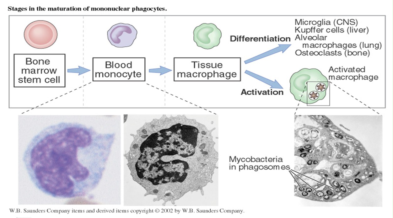 IHMC Public Cmaps (3)